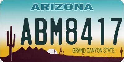 AZ license plate ABM8417
