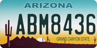 AZ license plate ABM8436