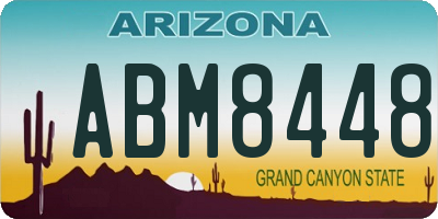 AZ license plate ABM8448