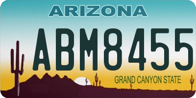 AZ license plate ABM8455
