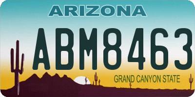 AZ license plate ABM8463