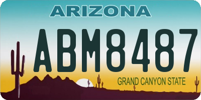 AZ license plate ABM8487