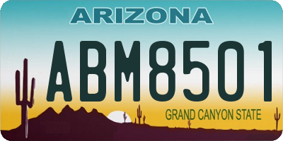 AZ license plate ABM8501