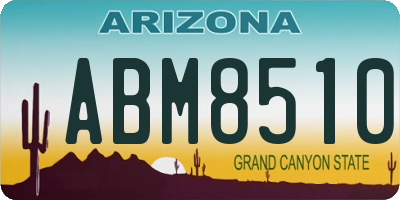 AZ license plate ABM8510