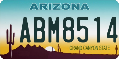 AZ license plate ABM8514