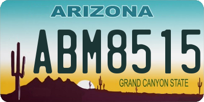 AZ license plate ABM8515