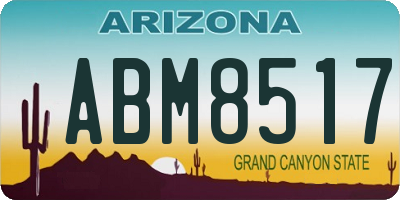 AZ license plate ABM8517