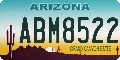 AZ license plate ABM8522