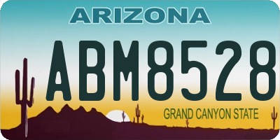 AZ license plate ABM8528