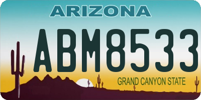 AZ license plate ABM8533
