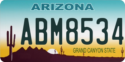 AZ license plate ABM8534