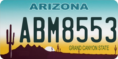 AZ license plate ABM8553