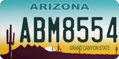 AZ license plate ABM8554