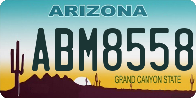 AZ license plate ABM8558