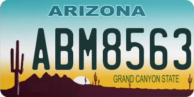 AZ license plate ABM8563