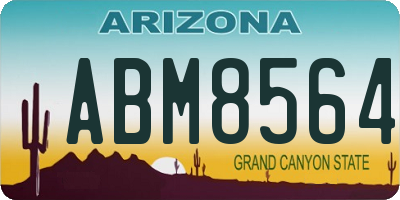 AZ license plate ABM8564