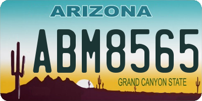 AZ license plate ABM8565