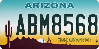 AZ license plate ABM8568