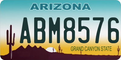 AZ license plate ABM8576