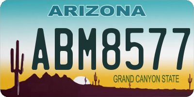 AZ license plate ABM8577