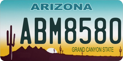 AZ license plate ABM8580