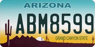 AZ license plate ABM8599