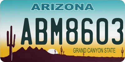 AZ license plate ABM8603
