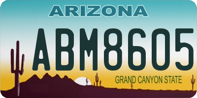 AZ license plate ABM8605