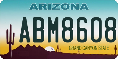 AZ license plate ABM8608