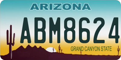 AZ license plate ABM8624