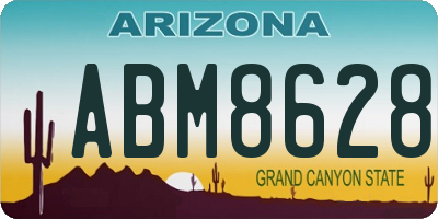 AZ license plate ABM8628