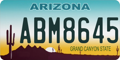 AZ license plate ABM8645