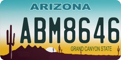 AZ license plate ABM8646