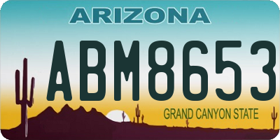 AZ license plate ABM8653