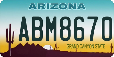 AZ license plate ABM8670