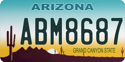 AZ license plate ABM8687