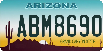 AZ license plate ABM8690