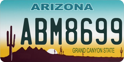 AZ license plate ABM8699