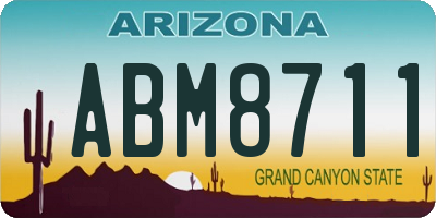 AZ license plate ABM8711
