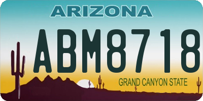 AZ license plate ABM8718