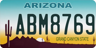 AZ license plate ABM8769