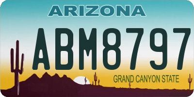 AZ license plate ABM8797