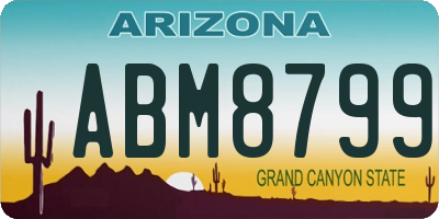 AZ license plate ABM8799