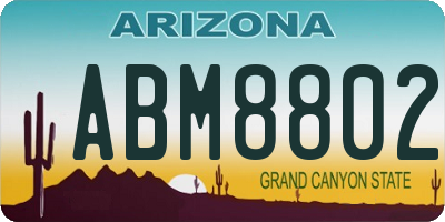 AZ license plate ABM8802