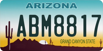 AZ license plate ABM8817