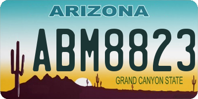 AZ license plate ABM8823