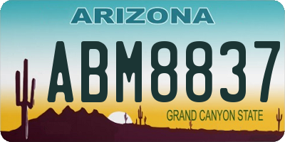 AZ license plate ABM8837