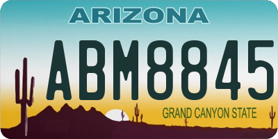 AZ license plate ABM8845