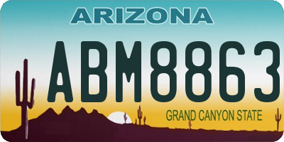 AZ license plate ABM8863