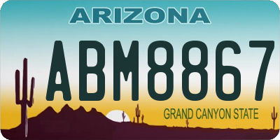 AZ license plate ABM8867